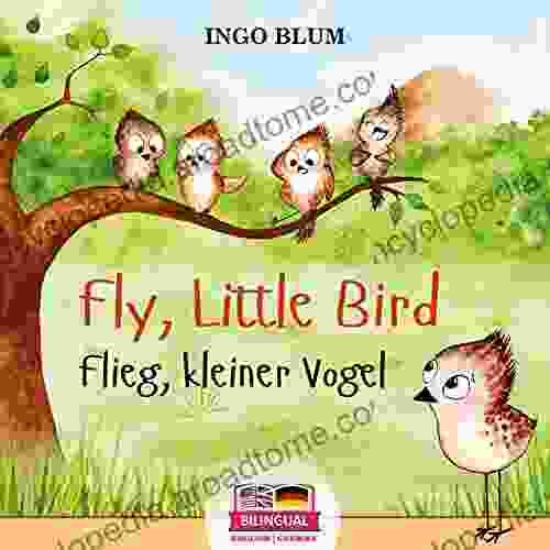 Fly Little Bird Flieg Kleiner Vogel : Bilingual Children S Picture In English German (Kids Learn German 1)