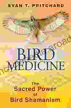 Bird Medicine: The Sacred Power Of Bird Shamanism