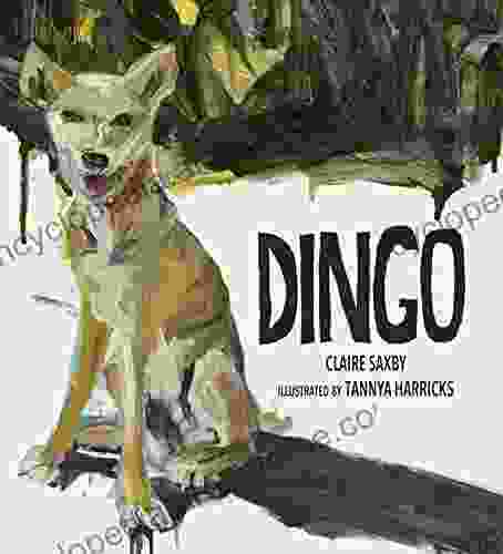 Dingo Ingo Blum
