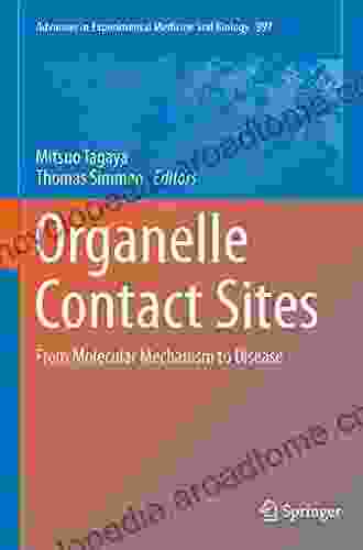Organelle Contact Sites: From Molecular Mechanism To Disease (Advances In Experimental Medicine And Biology 997)