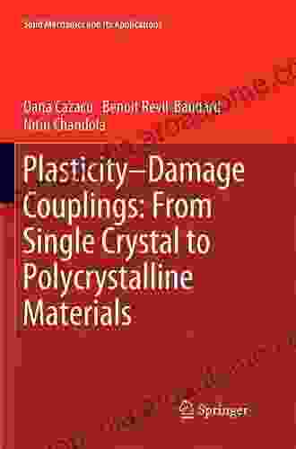 Plasticity Damage Couplings: From Single Crystal To Polycrystalline Materials (Solid Mechanics And Its Applications 253)