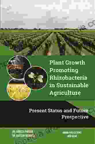 Plant Growth Promoting Rhizobacteria For Agricultural Sustainability: From Theory To Practices