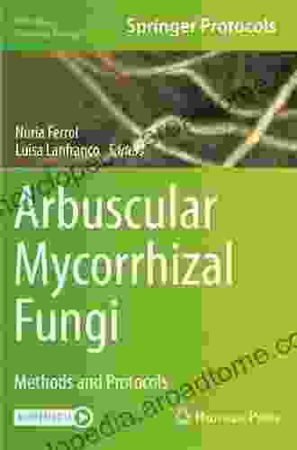 Handbook Of Arbuscular Mycorrhizal Fungi