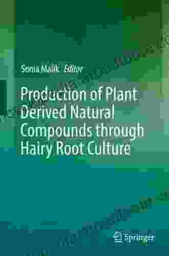 Production of Plant Derived Natural Compounds through Hairy Root Culture