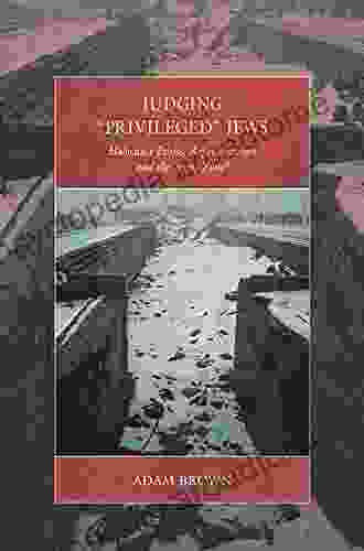 Judging Privileged Jews: Holocaust Ethics Representation And The Grey Zone (War And Genocide 18)