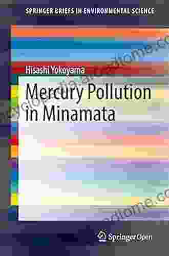 Mercury Pollution in Minamata (SpringerBriefs in Environmental Science)