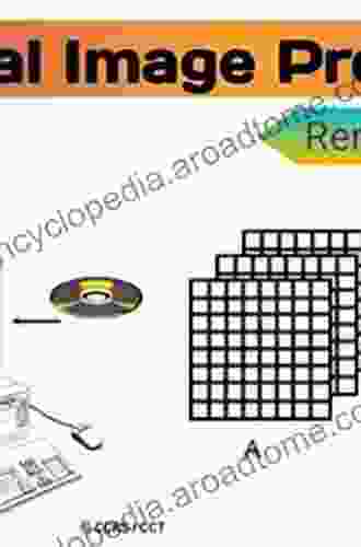 Multitemporal Remote Sensing: Methods and Applications (Remote Sensing and Digital Image Processing 20)