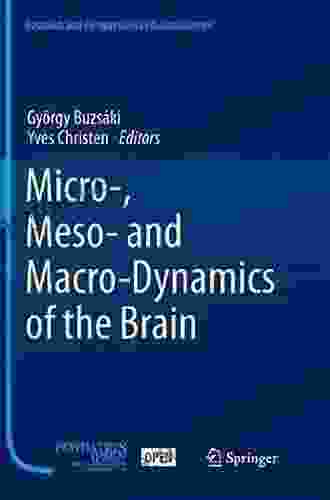 Micro Meso And Macro Dynamics Of The Brain (Research And Perspectives In Neurosciences)