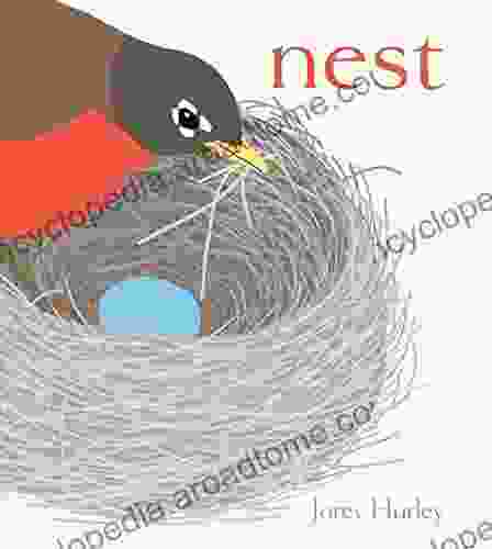 Nest (Classic Board Books) Jorey Hurley