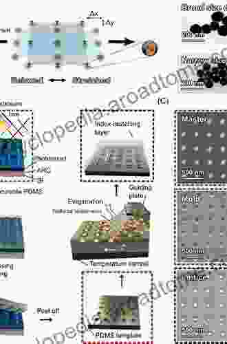 Physical Design And Mask Synthesis For Directed Self Assembly Lithography (NanoScience And Technology)