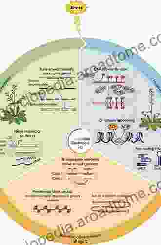 Plant Epigenetics (RNA Technologies)