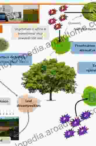 Plant Responses To Air Pollution