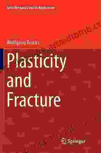 Plasticity and Fracture (Solid Mechanics and Its Applications 244)