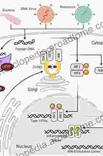 Regulation of Inflammatory Signaling in Health and Disease (Advances in Experimental Medicine and Biology 1024)