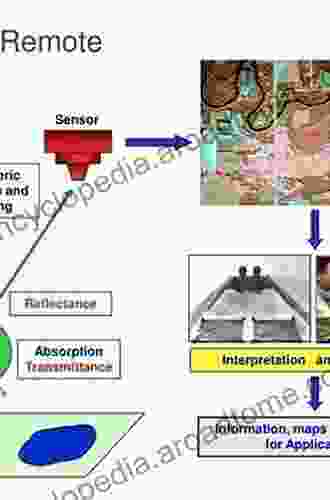 Remote Sensing Of The Environment And Radiation Transfer: An Introductory Survey