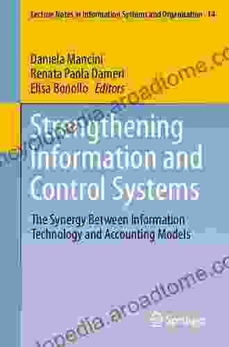 Strengthening Information And Control Systems: The Synergy Between Information Technology And Accounting Models (Lecture Notes In Information Systems And Organisation 14)