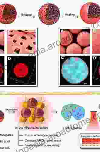 Therapeutic Vaccines as Novel Immunotherapy: Biological and Clinical Concepts