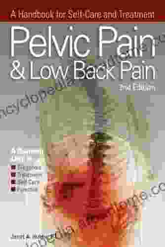 Pelvic And Low Back Pain: A Handbook For Self Care And Treatment