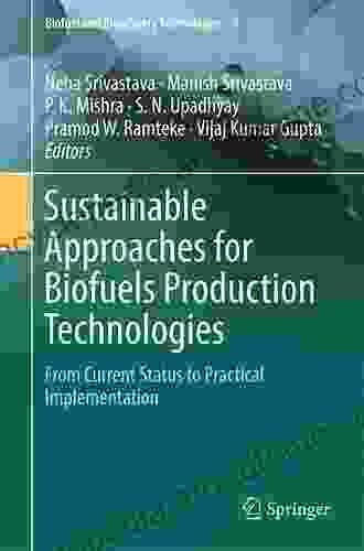 Sustainable Approaches For Biofuels Production Technologies: From Current Status To Practical Implementation (Biofuel And Biorefinery Technologies 7)