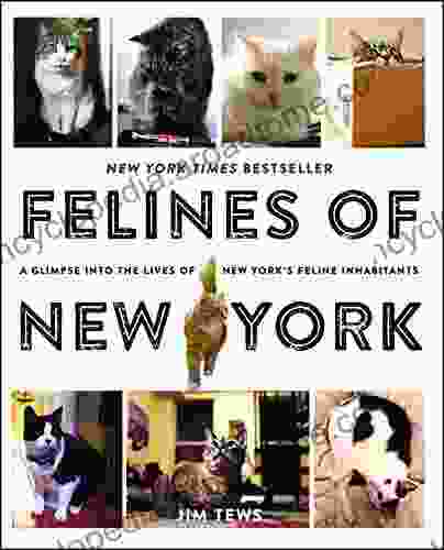 Felines Of New York: A Glimpse Into The Lives Of New York S Feline Inhabitants