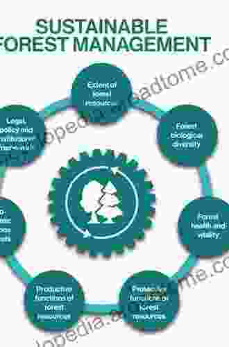 Positive Impact Forestry: A Sustainable Approach To Managing Woodlands