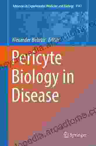 Pericyte Biology In Disease (Advances In Experimental Medicine And Biology 1147)